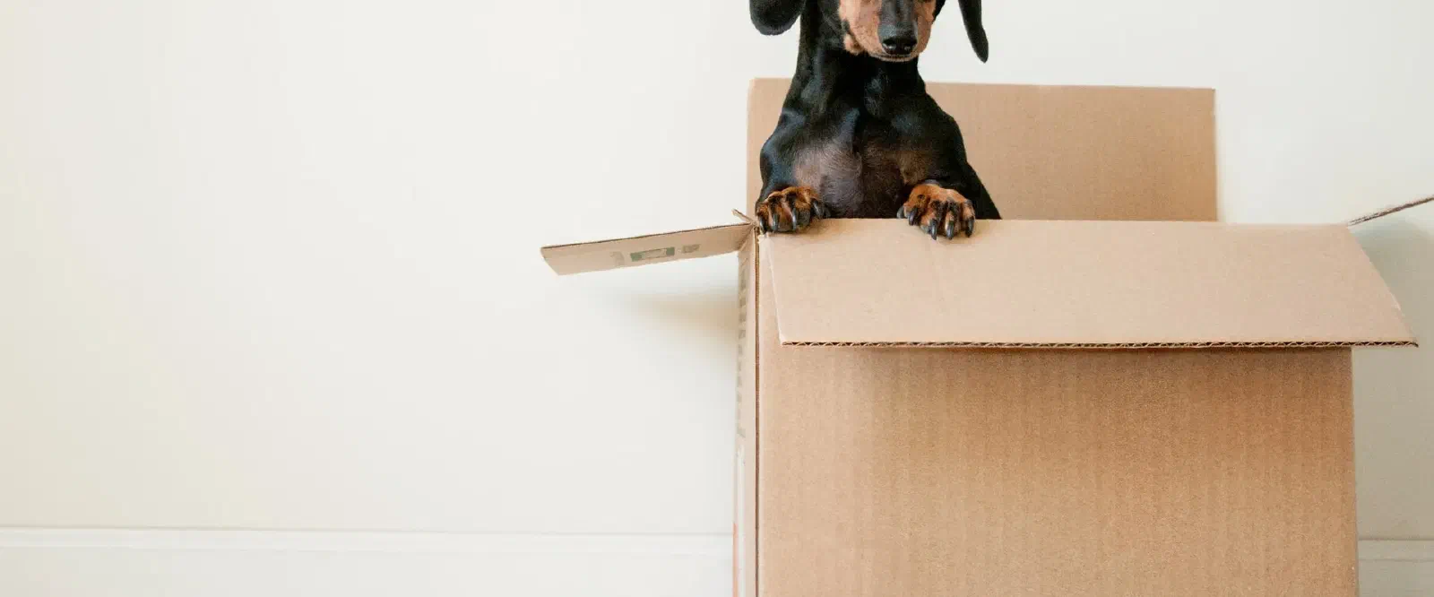 Move Blog